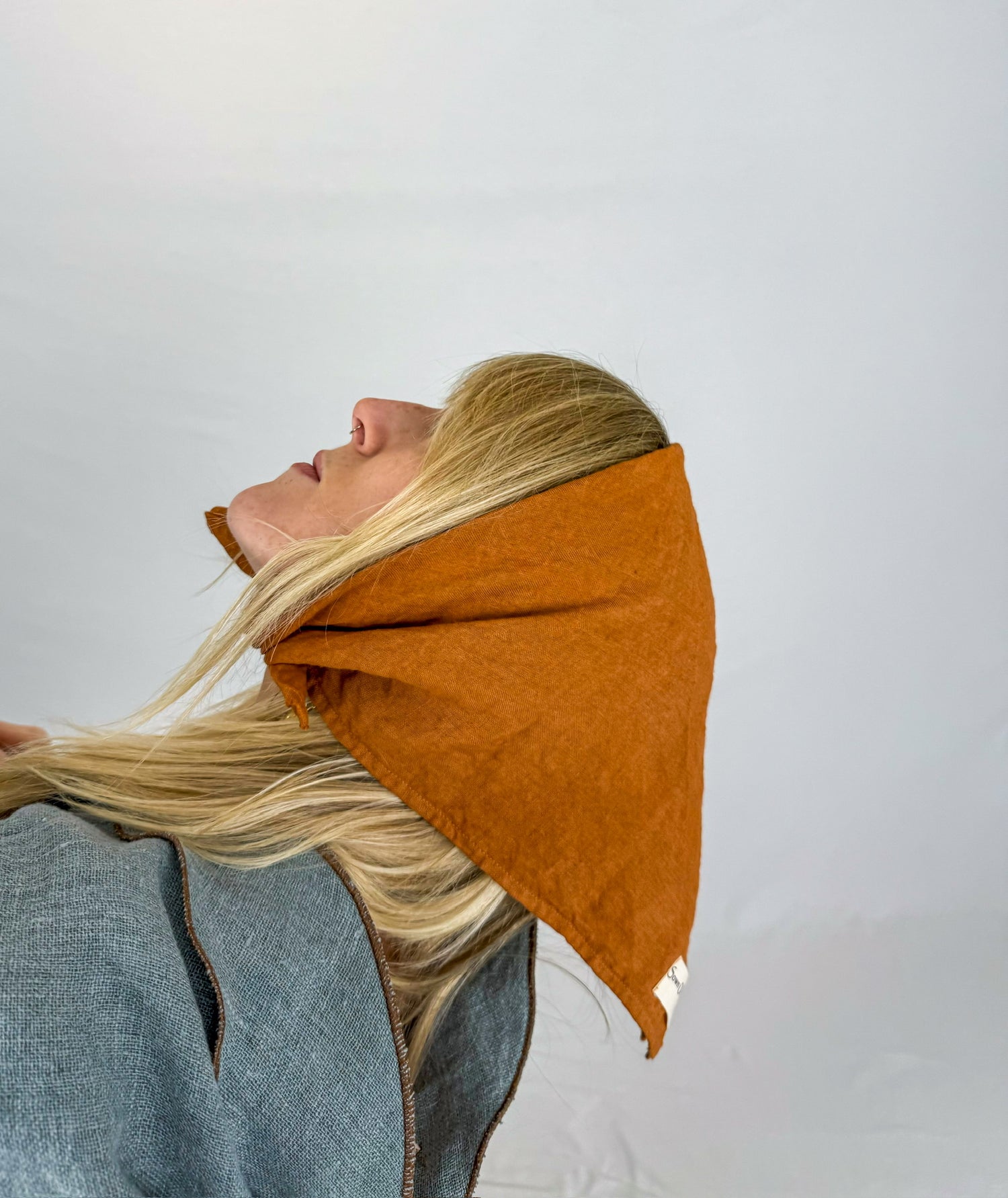 Desert Spice Bandana